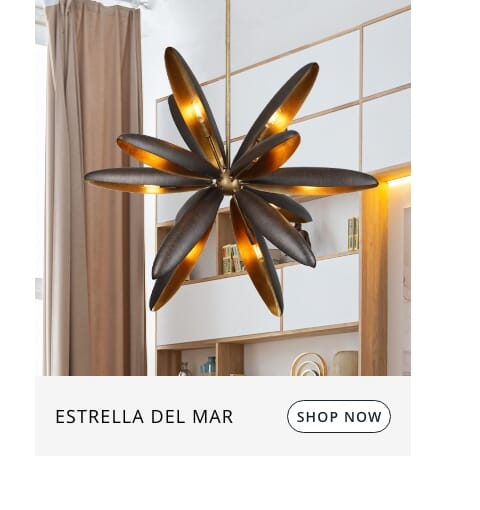 Estrella chandelier by Breegan Jane
