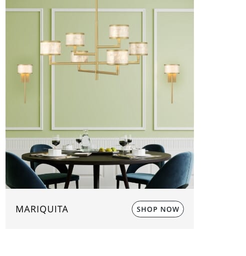 Mariquita chandelier by Breegan Jane