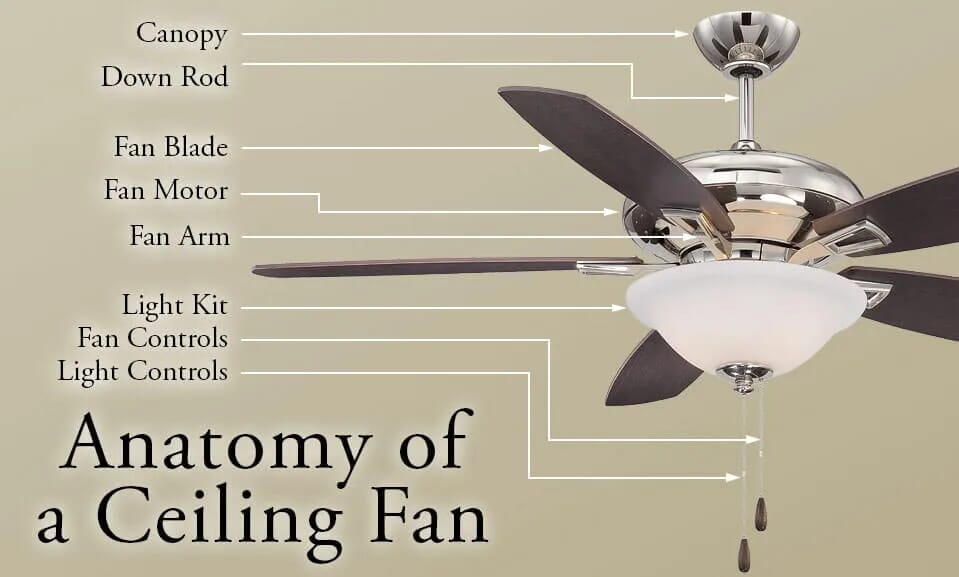 Anatomy of a Ceiling Fan - LightsOnline.com