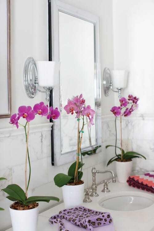 Hinkley Shelly - Transitional Bath Lighting Elegance -  LightsOnline Blog